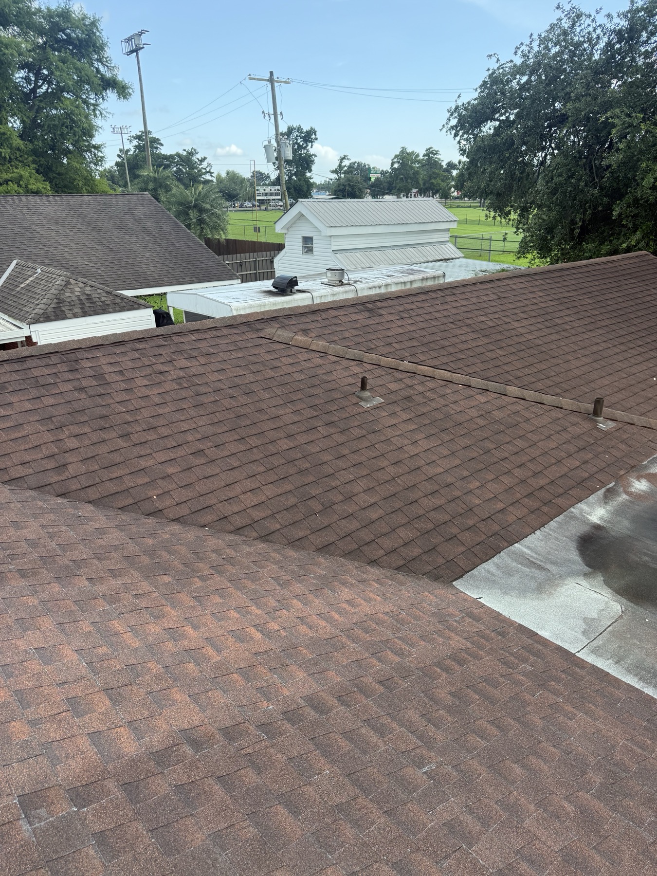 Cleaned roof ridge and shingles after a no pressure wash